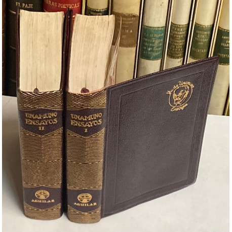 Ensayos. Prólogo y notas de Bernardo G. de Cándamo.