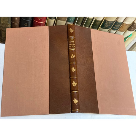 Taurotraumatología, precedida de un diseño histórico sobre la fiesta de los toros.