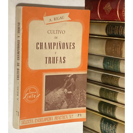 Cultivo de Champiñones y Trufas.