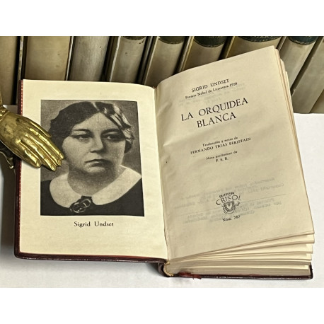 La orquidea blanca.