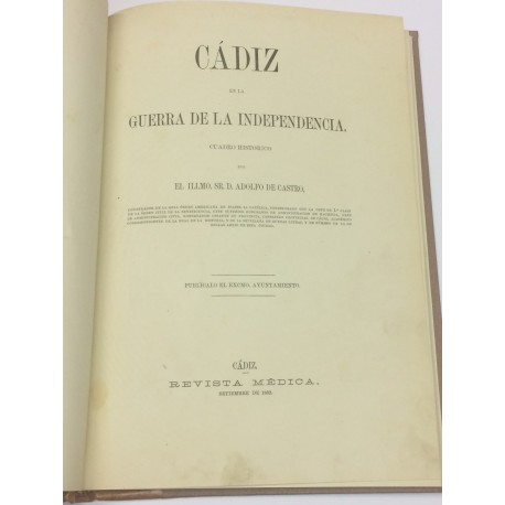 Cádiz en la Guerra de la Independencia. Cuadro histórico.