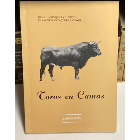 Toros en Camas.