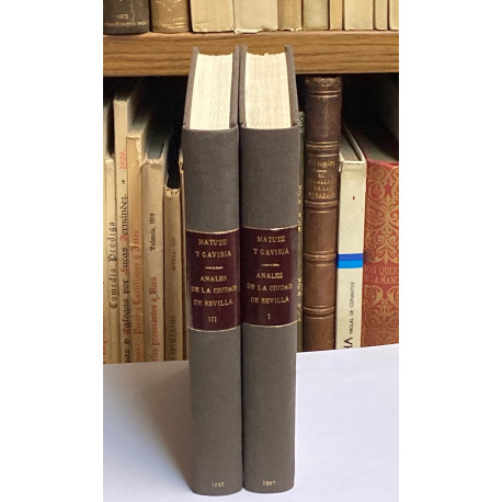 Anales eclesiásticos y seculares de la muy noble y muy leal Ciudad de Sevilla, Metrópoli de Andalucía, desde 1701 hasta 1800.