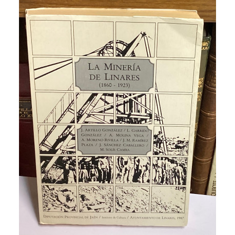 La minería de Linares. (1860 - 1923).