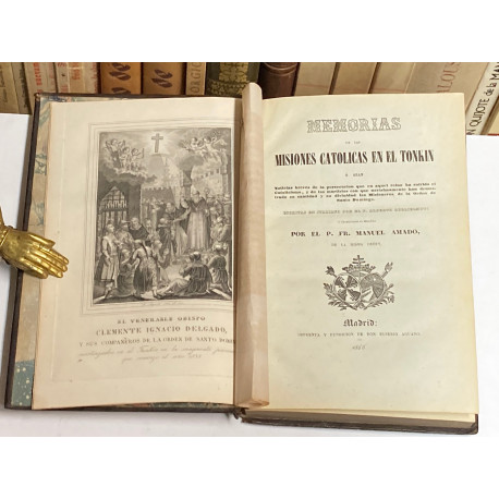 Memorias de las misiones católicas en el Tonkin. Noticias breves de la persecución que ha sufrido el Catolicismo.
