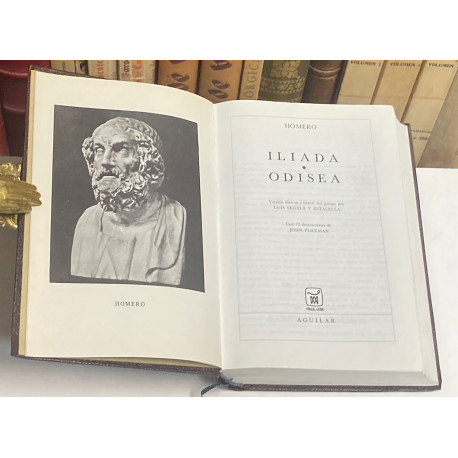 Iliada. Odisea. Versión directa y literal del griego por Luis Segala y Estalella.