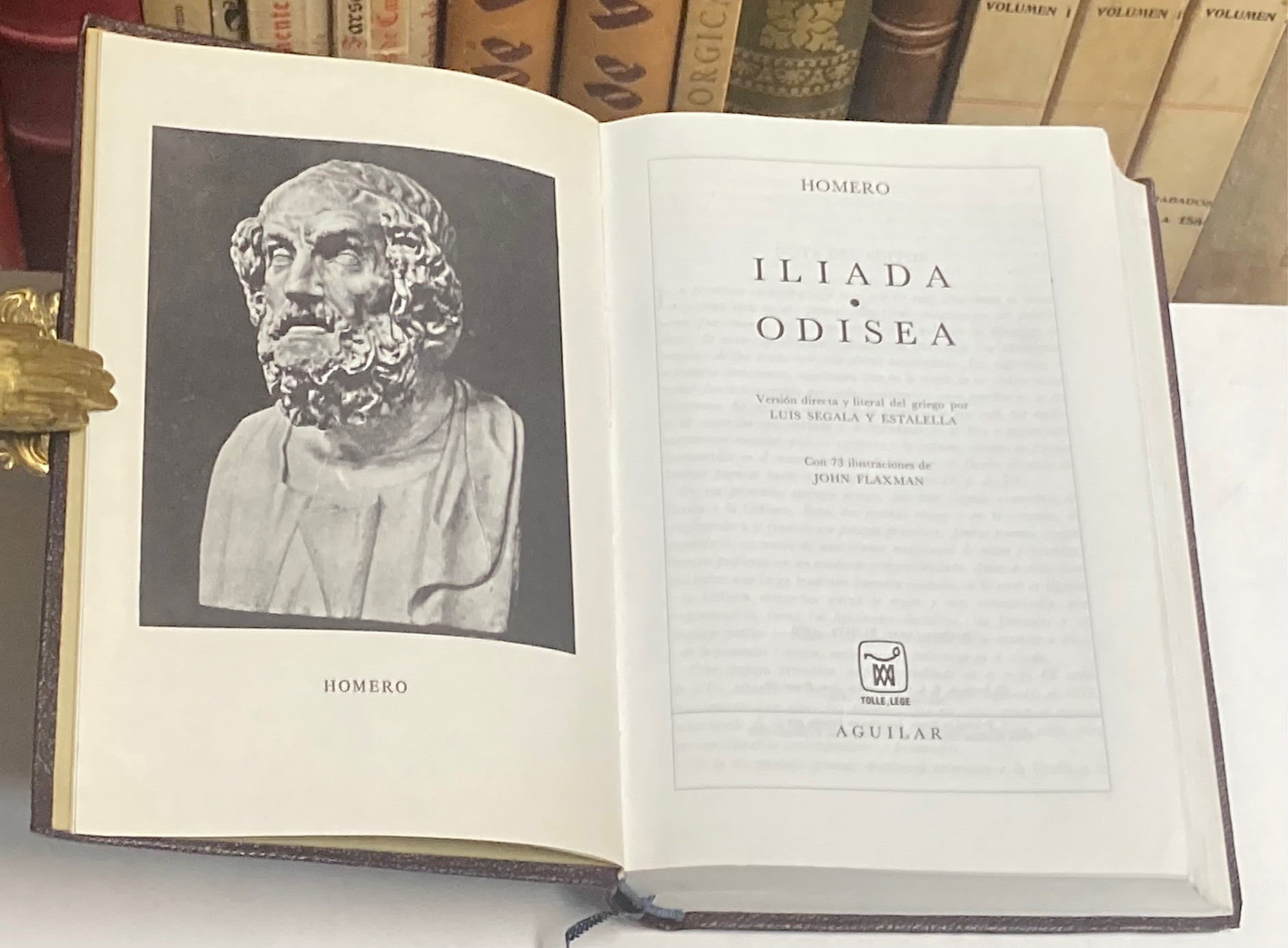 La Ilíada y La Odisea (anotado) (Spanish Edition)